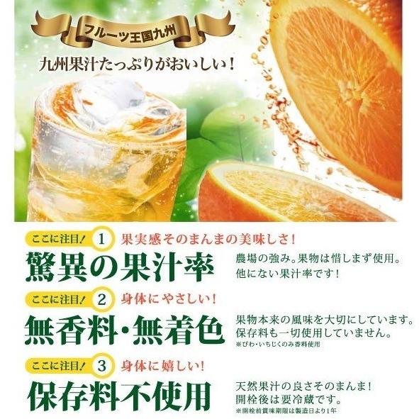 ノンアルドリンク【九州果実シロップ】福田農場シロップ 熊本デコポンシロップ 500ml 果汁率 80%