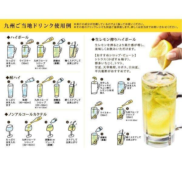 ノンアルドリンク【九州果実シロップ】福田農場シロップ 熊本デコポンシロップ 500ml 果汁率 80%