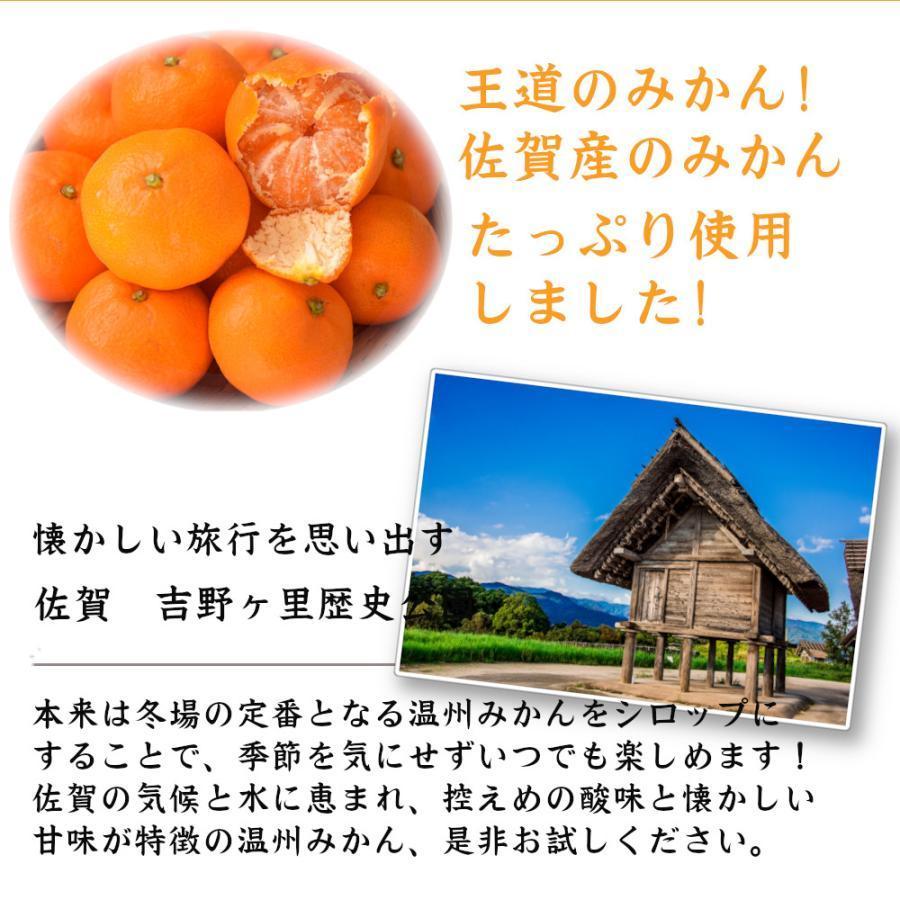 ノンアルドリンク【九州果実シロップ 】福田農場 九州果実シロップ 温州みかん 3倍希釈 はちみつ入り 500ml