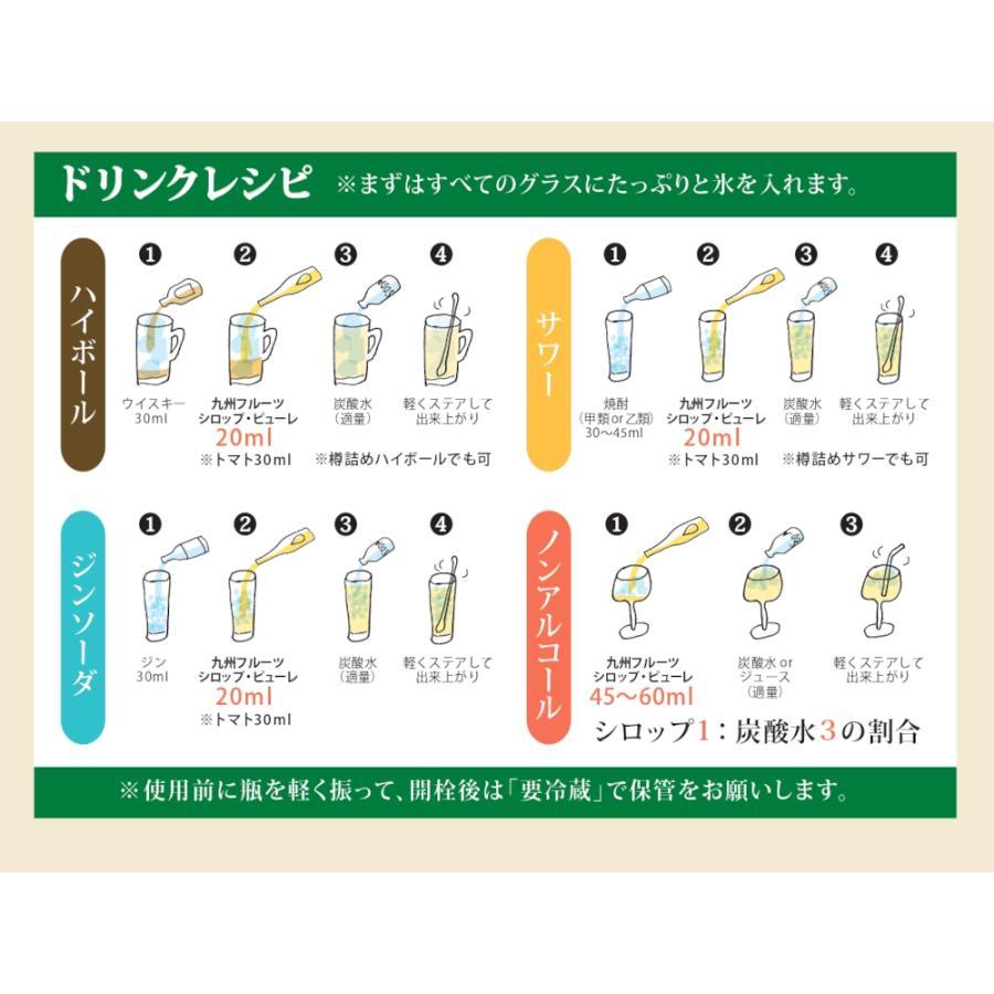 ノンアルドリンク【九州果実シロップ 】福田農場 九州果実シロップ 温州みかん 3倍希釈 はちみつ入り 500ml