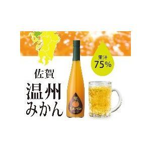 ノンアルドリンク【九州果実シロップ 】福田農場 九州果実シロップ 温州みかん 3倍希釈 はちみつ入り 500ml
