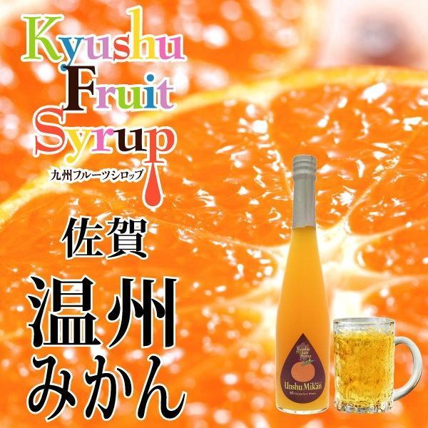 送料無料【北海道・東北・沖縄を除く】 5種類セット ( 温州みかん カボス あまおう デコポン シトラス ) ノンアルドリンク 福田農場 九州果実 シロップ